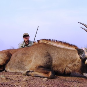 Roan Antelope hunted in CAR