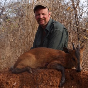 Red Flanked Duiker hunted in CAR