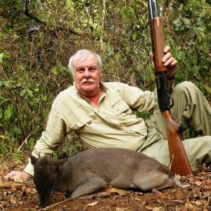 Blue duiker hunted in CAR