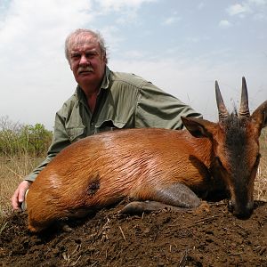 Red flanked duiker