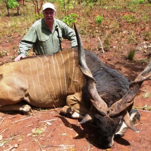 Great black ruff Lord Derby Eland