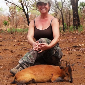 Red flanked duiker