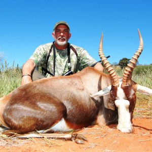 Blesbok Namibia