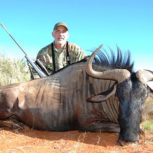 Blue Wildebeest Namibia