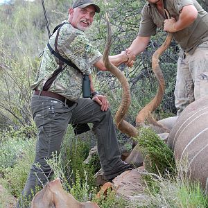 Greater Kudu Namibia