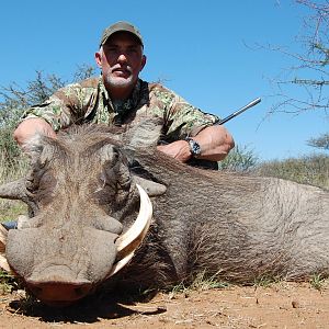 Warthog Namibia