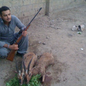 Another Gazelle hunt. Got two beautiful trophies.