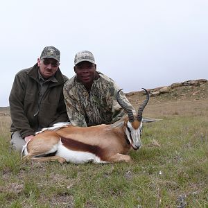 Springbok