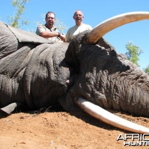 Trophy Elephant 2012