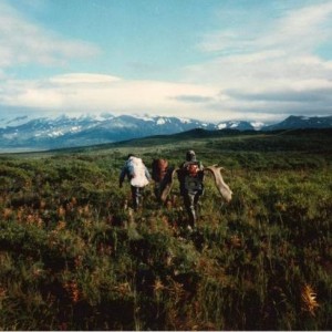 Packing out a Moose, Alaska