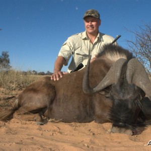 Black Wildebeest - Spiral Horn Safaris