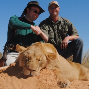 Lioness - Spiral Horn Safaris