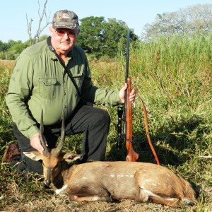 Bushbuck