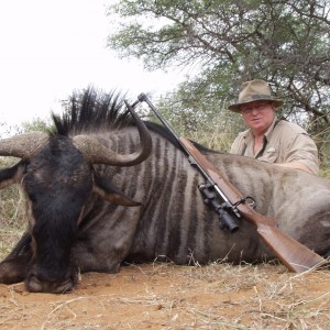 Blue Wildebeest South Africa