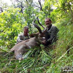 Mountain Nyala Ethiopia