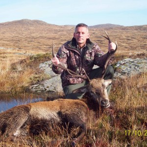 Red Stag - West Scotland