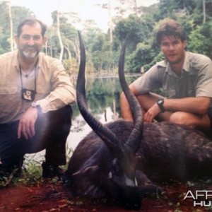 Sitatunga Cameroon