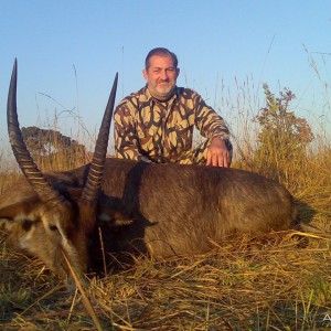 Defassa Waterbuck Zambia