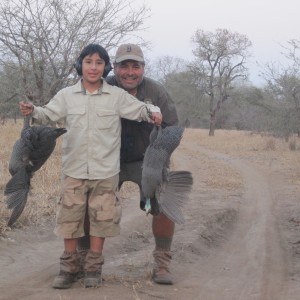 Guineafowls