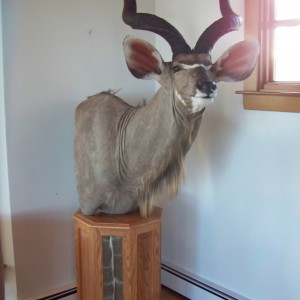 Kudu