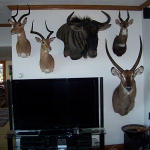 Trophy Room