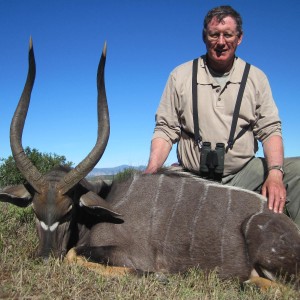 Nyala South Africa