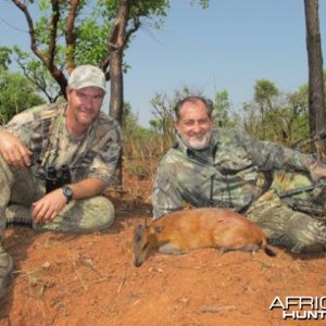 Red Flanked Duiker CAR