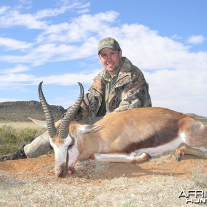 Springbok