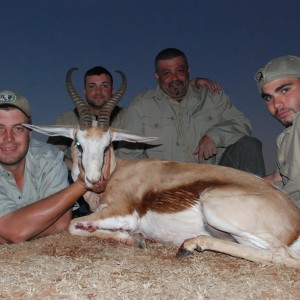 Springbok