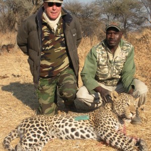 Leopard Namibia