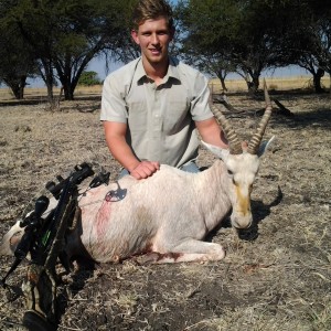 White blesbuck crossbow