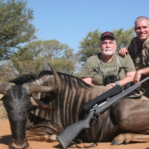 Blue Widebeest w/ Motshwere Safaris