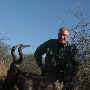 Red Hartebeest hunted w/ Motswere Safaris