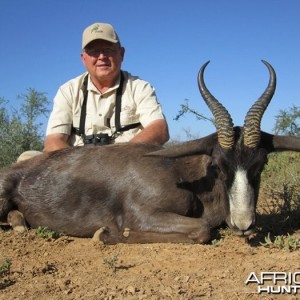 Black Springbuck