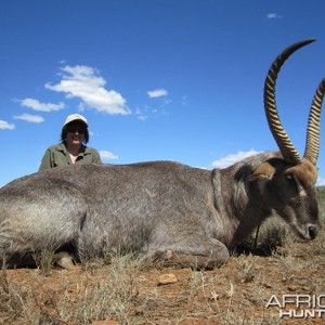 Waterbuck