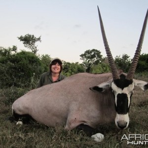 Gemsbok