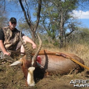 Blesbok with my Longbow