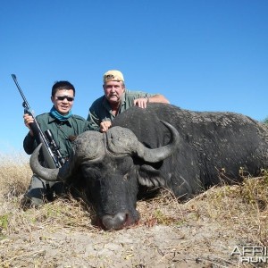 Botswana Buffalo