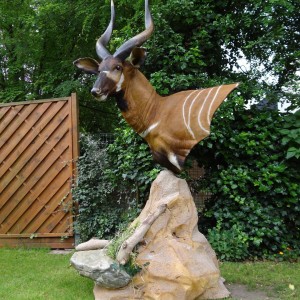 Bongo mount