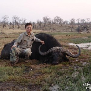 Zimbabwe Buffalo - 2