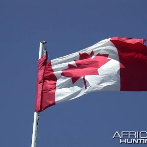 Canadian Flag