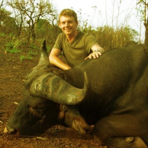 Central African Savannah Buffalo