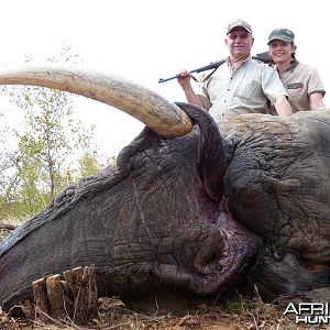 Ekephant hunted with Wintershoek Johnny Vivier Safaris