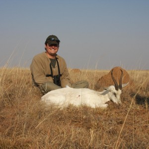 White Springbok