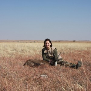 Black Springbok