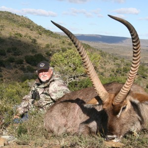 34 inch Waterbuck