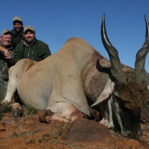 Eland