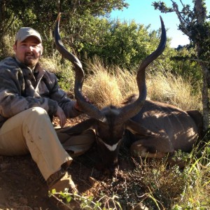 45 inch Kudu