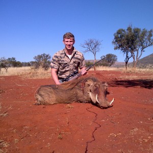 warthog hunt