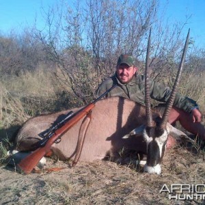 Kalahari Gemsbok